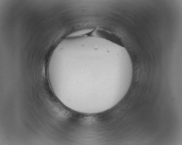 X0000080160310200701051612