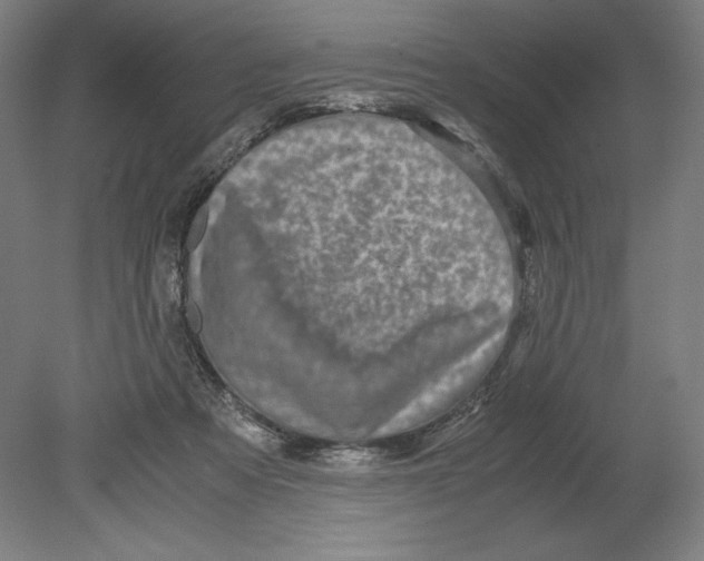 X0000080160313200701051612