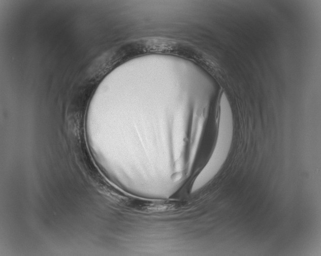 X0000080160315200701051612