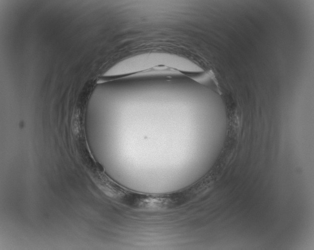 X0000080160323200701051612