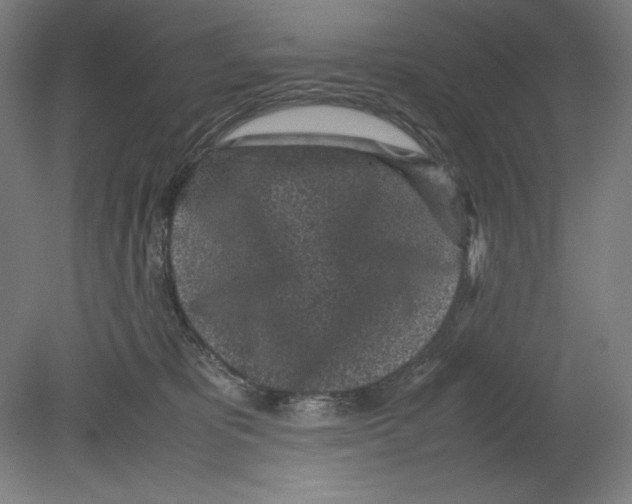 X0000080160325200701051612