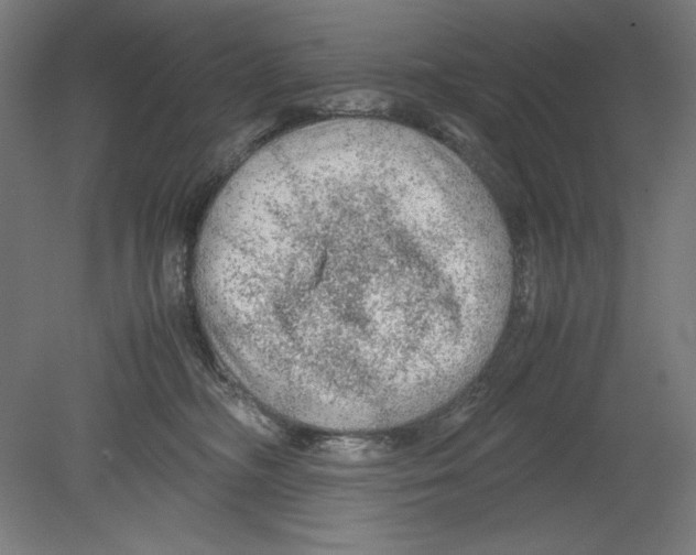 X0000080160326200701051612