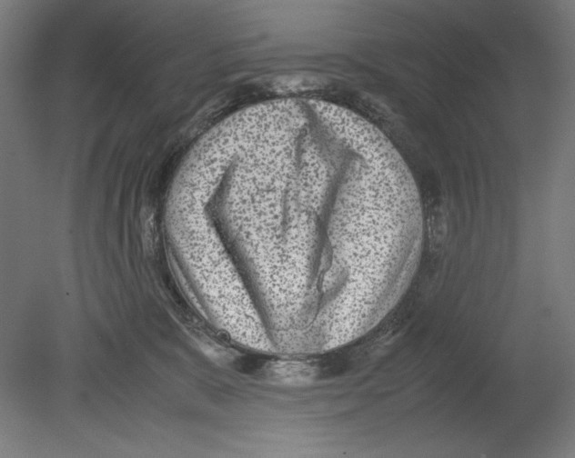 X0000080160327200701051612