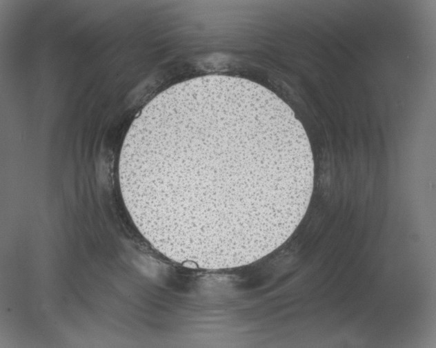 X0000080160332200701051612