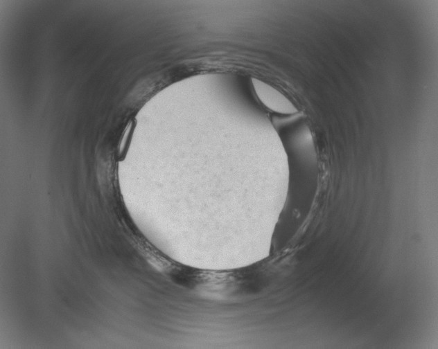 X0000080160333200701051612