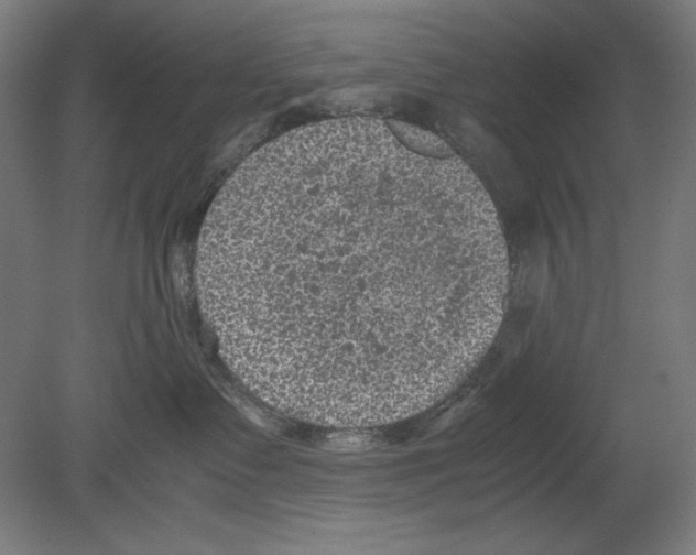 X0000080160335200701051612