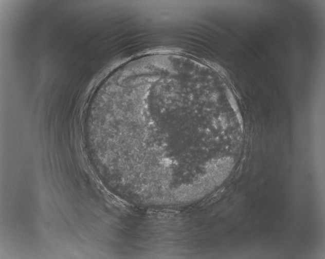 X0000080160337200701051611