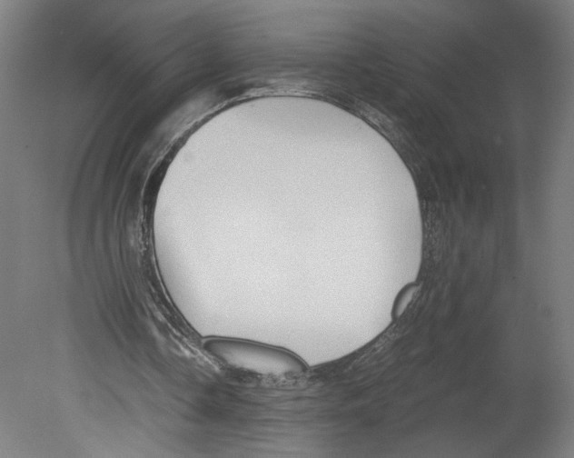 X0000080160338200701051611