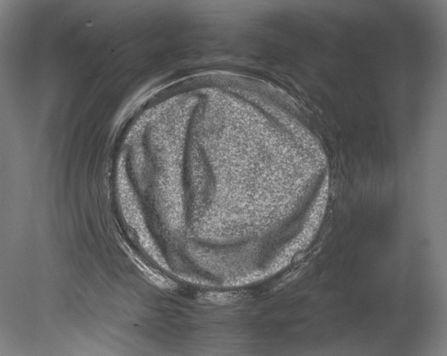 X0000080160341200701051611