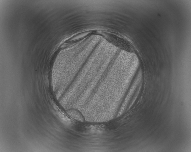 X0000080160345200701051611