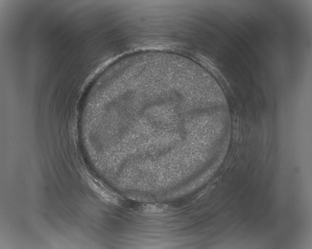 X0000080160346200701051611