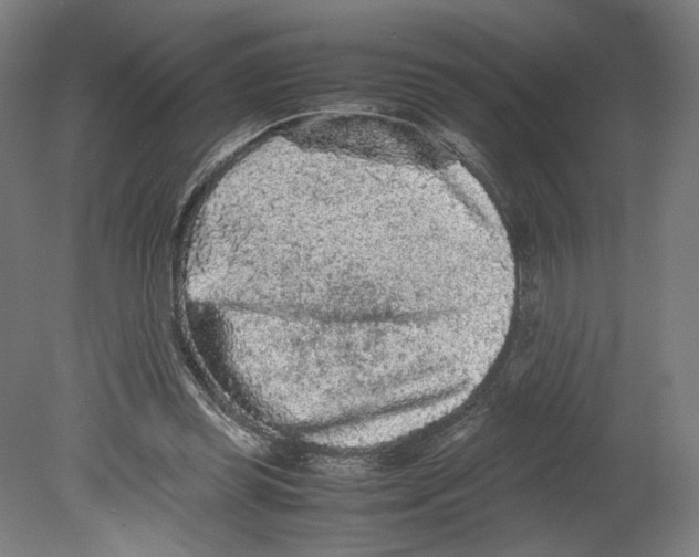 X0000080160349200701051611