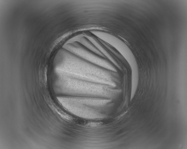 X0000080160350200701051611