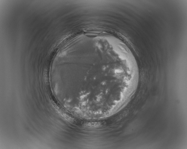 X0000080160353200701051611