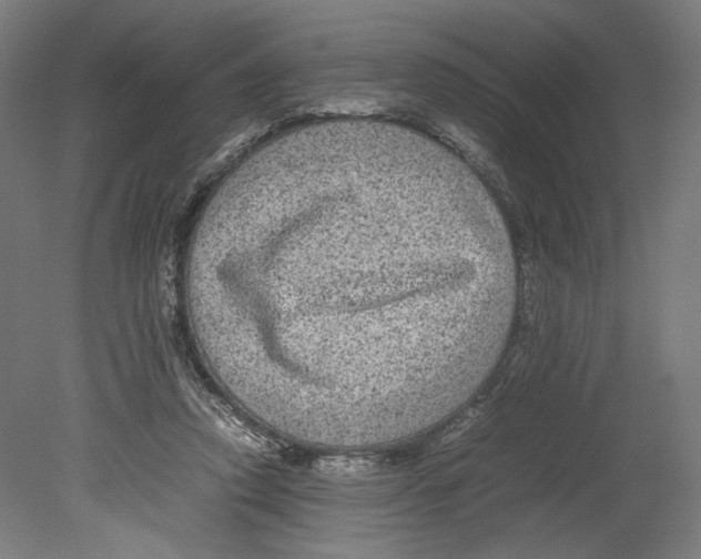 X0000080160354200701051611