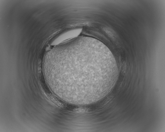 X0000080160356200701051611