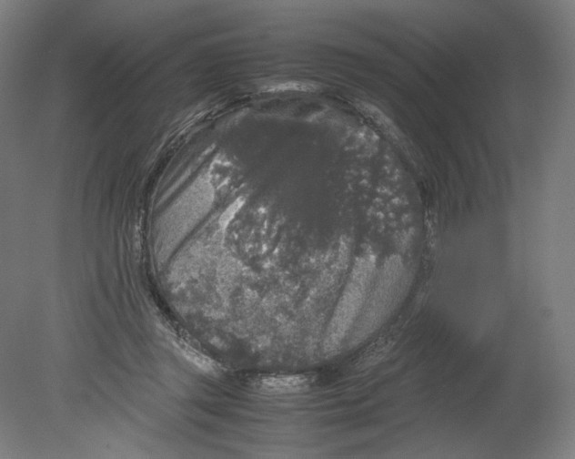 X0000080160357200701051611