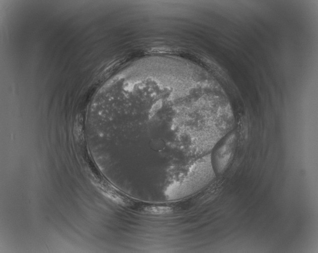 X0000080160361200701051611