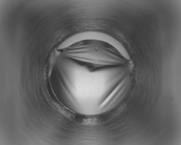 X0000080160362200701051611