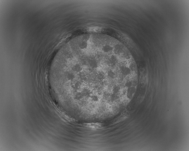 X0000080160363200701051611