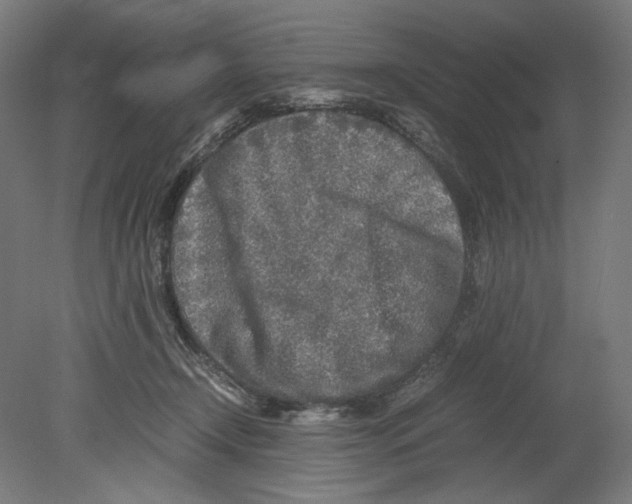 X0000080160366200701051611