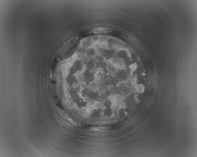 X0000080160367200701051611