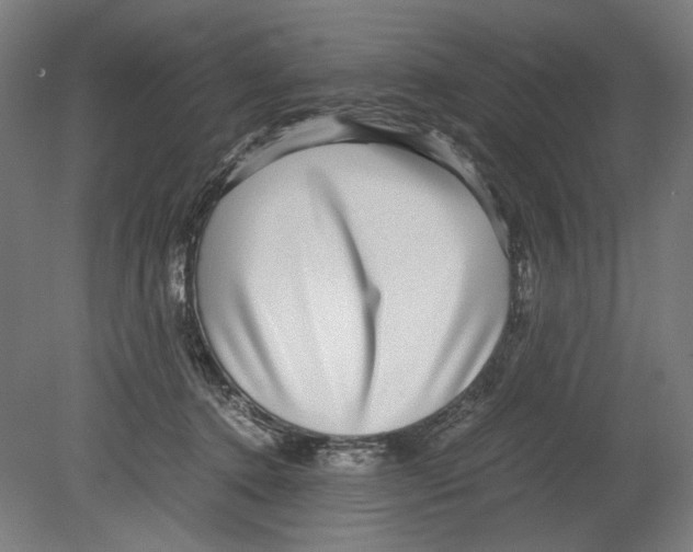 X0000080160368200701051611