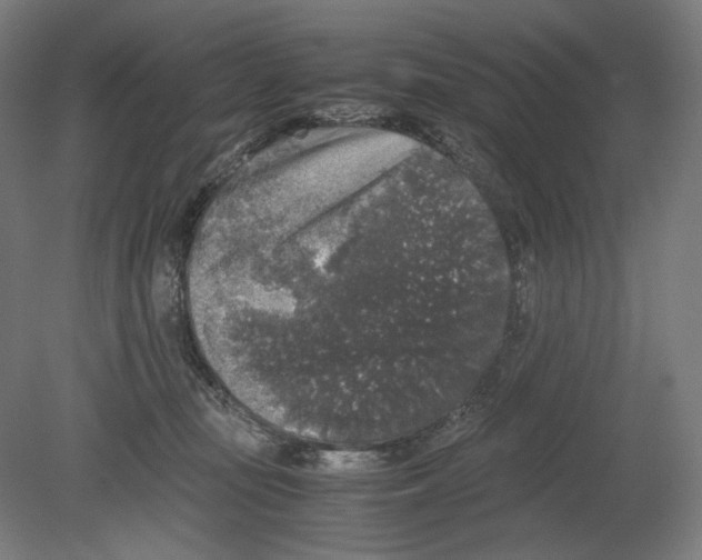 X0000080160371200701051611