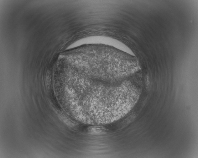 X0000080160372200701051611