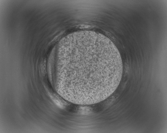 X0000080160376200701051611