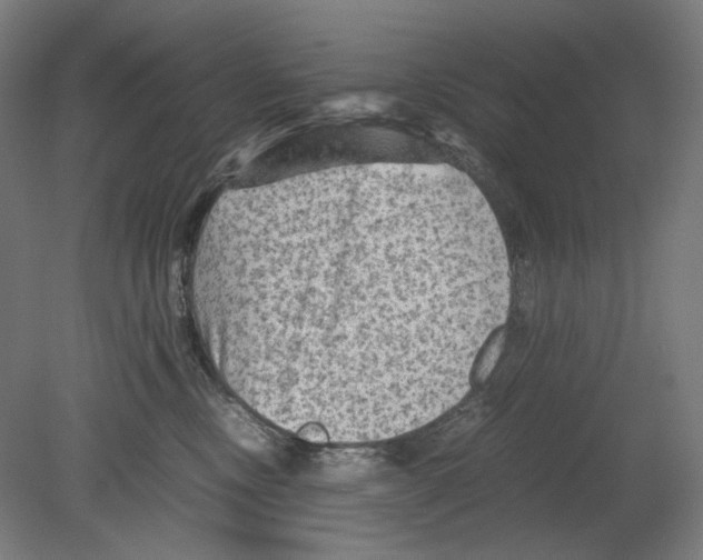 X0000080160378200701051611