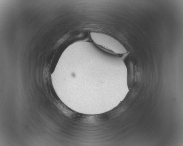 X0000080160382200701051611