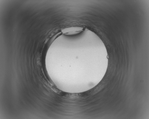 X0000080160384200701051612