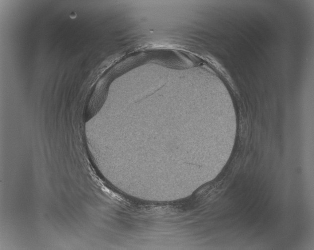 X0000080160385200701051611