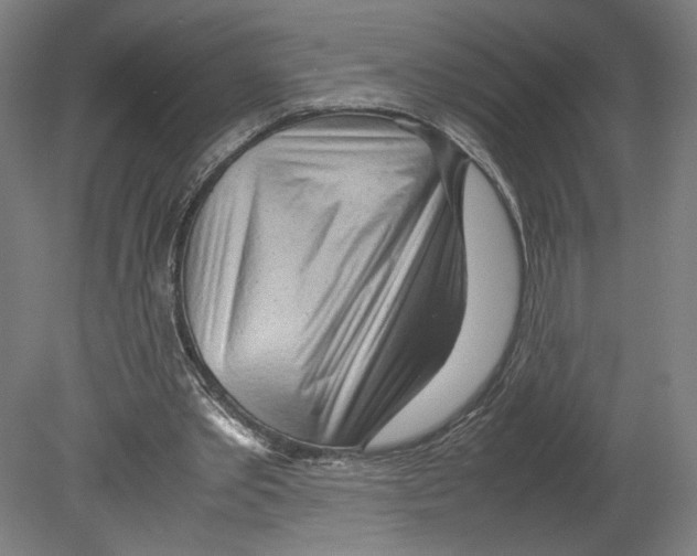 X0000080160389200701051611