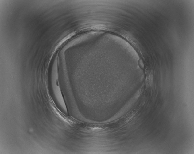 X0000080160390200701051611