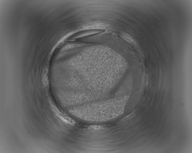 X0000080160392200701051611