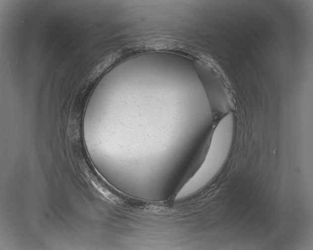 X0000080160393200701051611