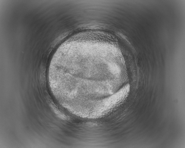 X0000080160394200701051611