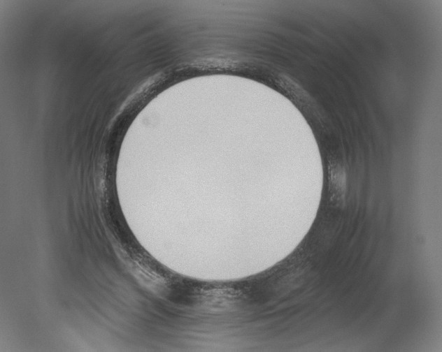 X0000080160396200701051611