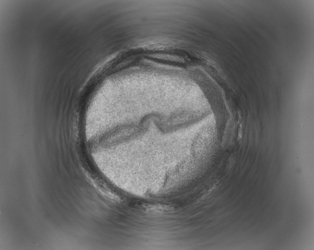 X0000080160400200701051610