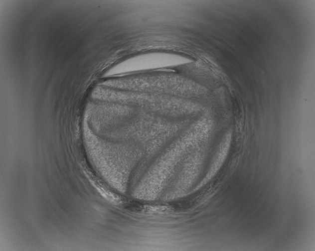 X0000080160401200701051610