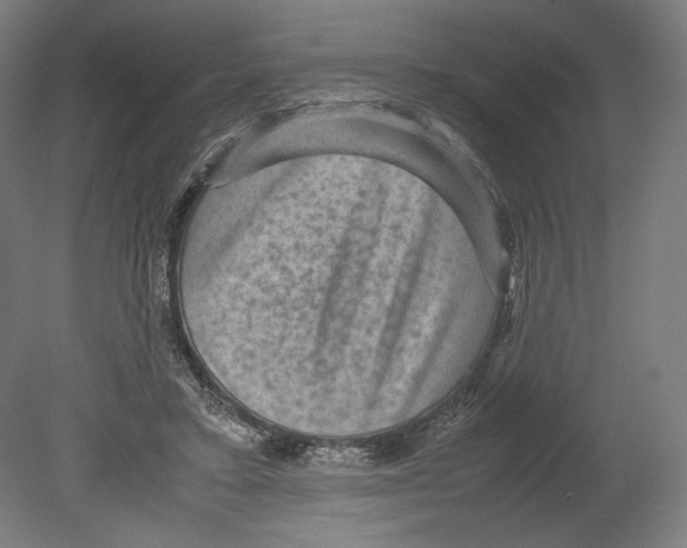 X0000080160403200701051610