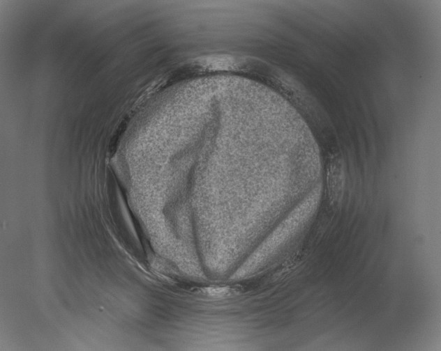 X0000080160406200701051610