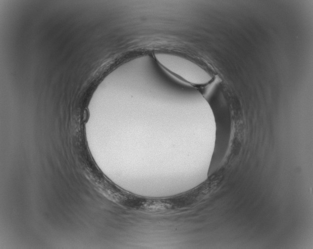 X0000080160407200701051610