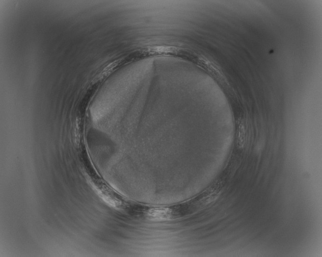 X0000080160410200701051610