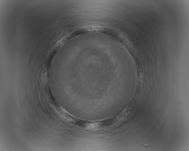 X0000080160411200701051610