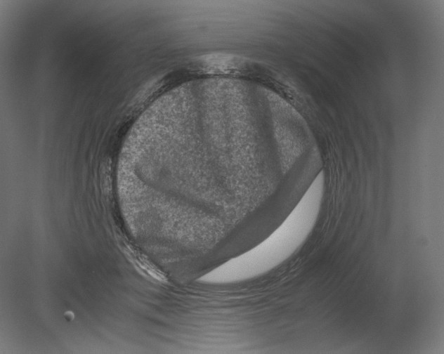 X0000080160413200701051610