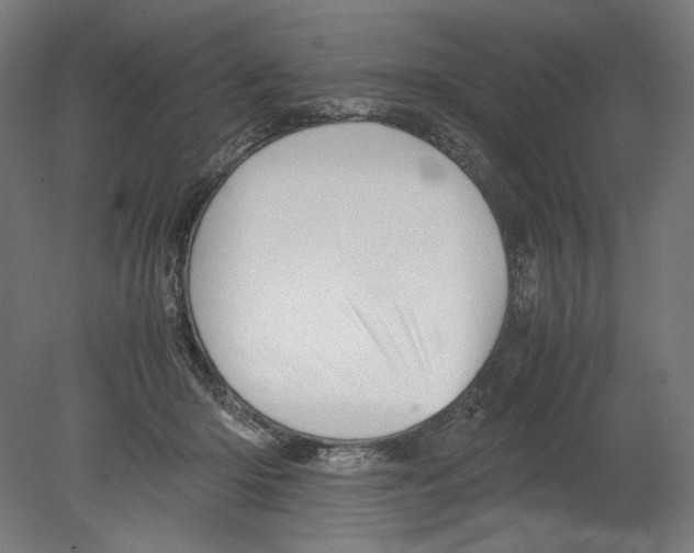 X0000080160414200701051610