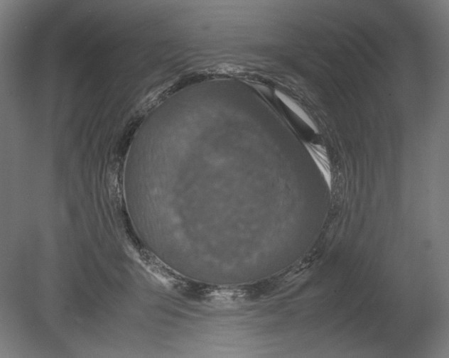 X0000080160415200701051610